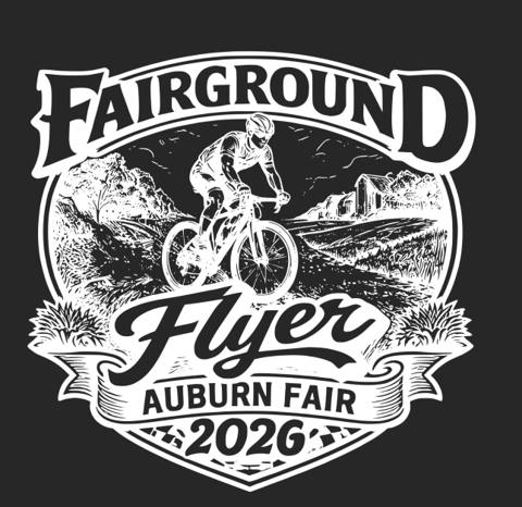 The Fairground Flyer
