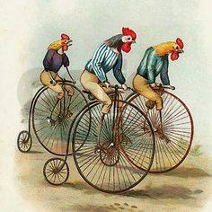 The Wild Chicken 100