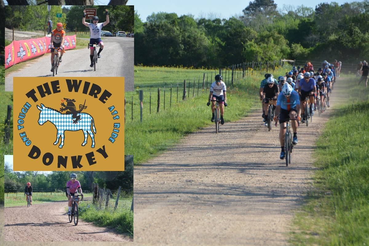 The Wire Donkey