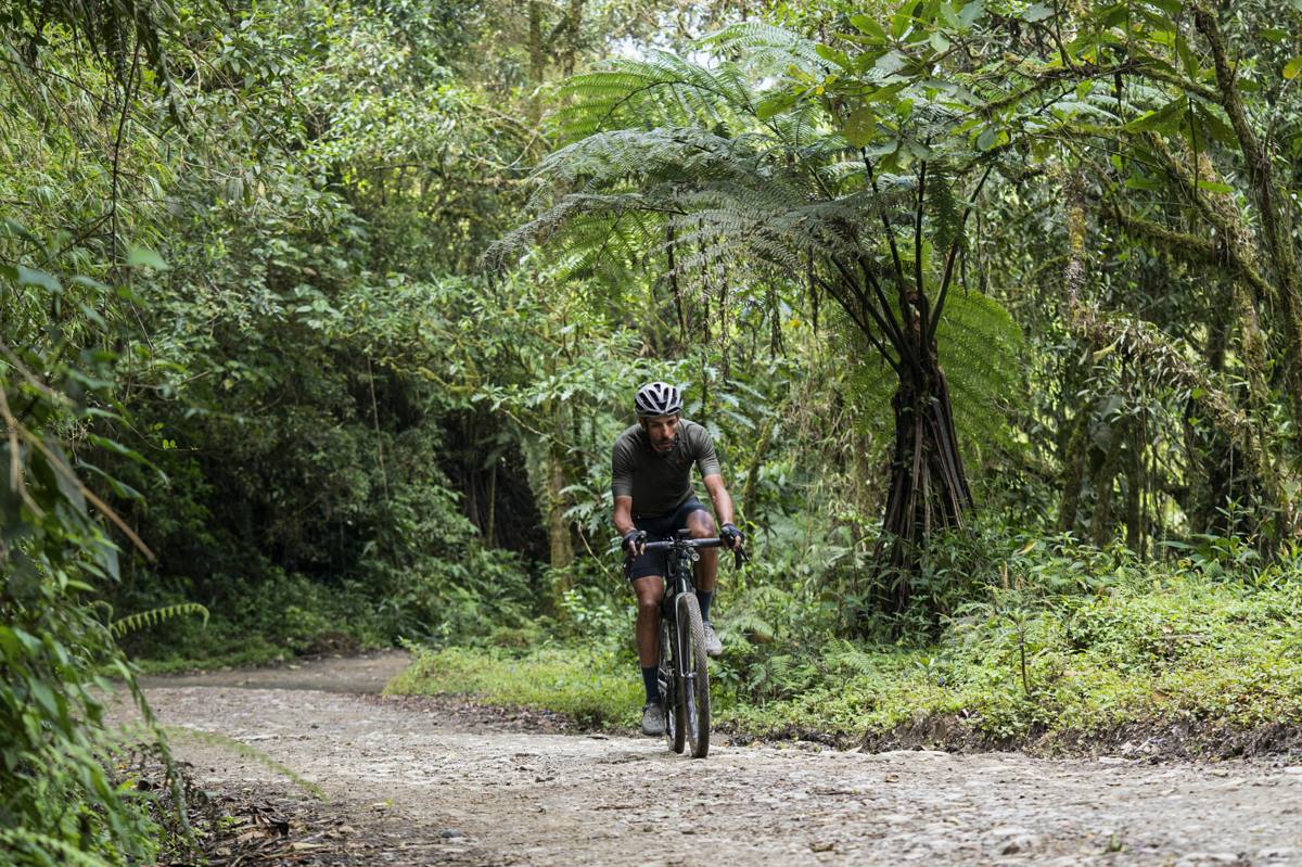 Gravel Escarabajos
