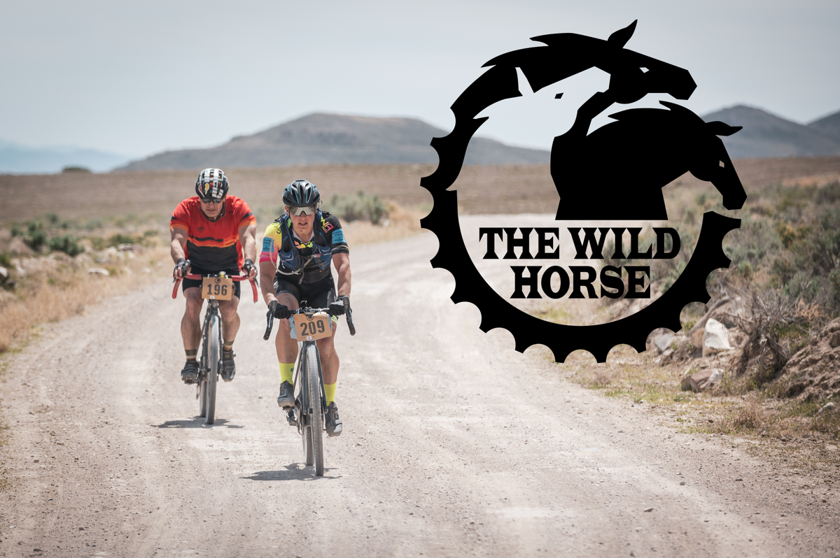 The Wild Horse