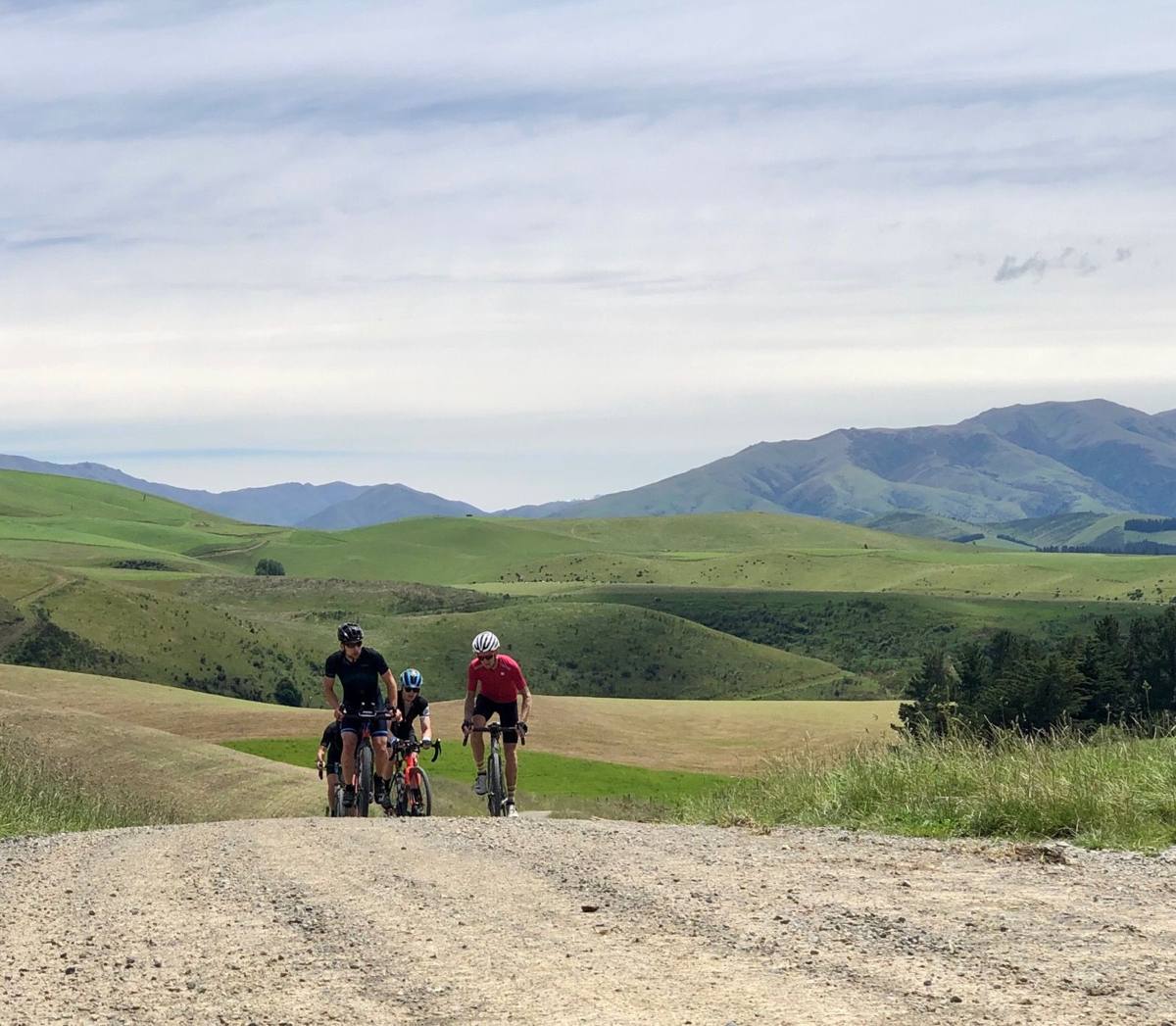 Edition Zero Gravel