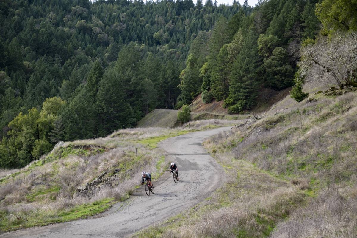 Grasshopper Adventure Series: Low Gap