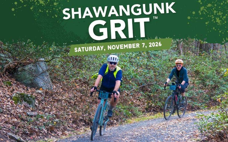 Shawangunk Grit