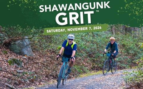 Shawangunk Grit