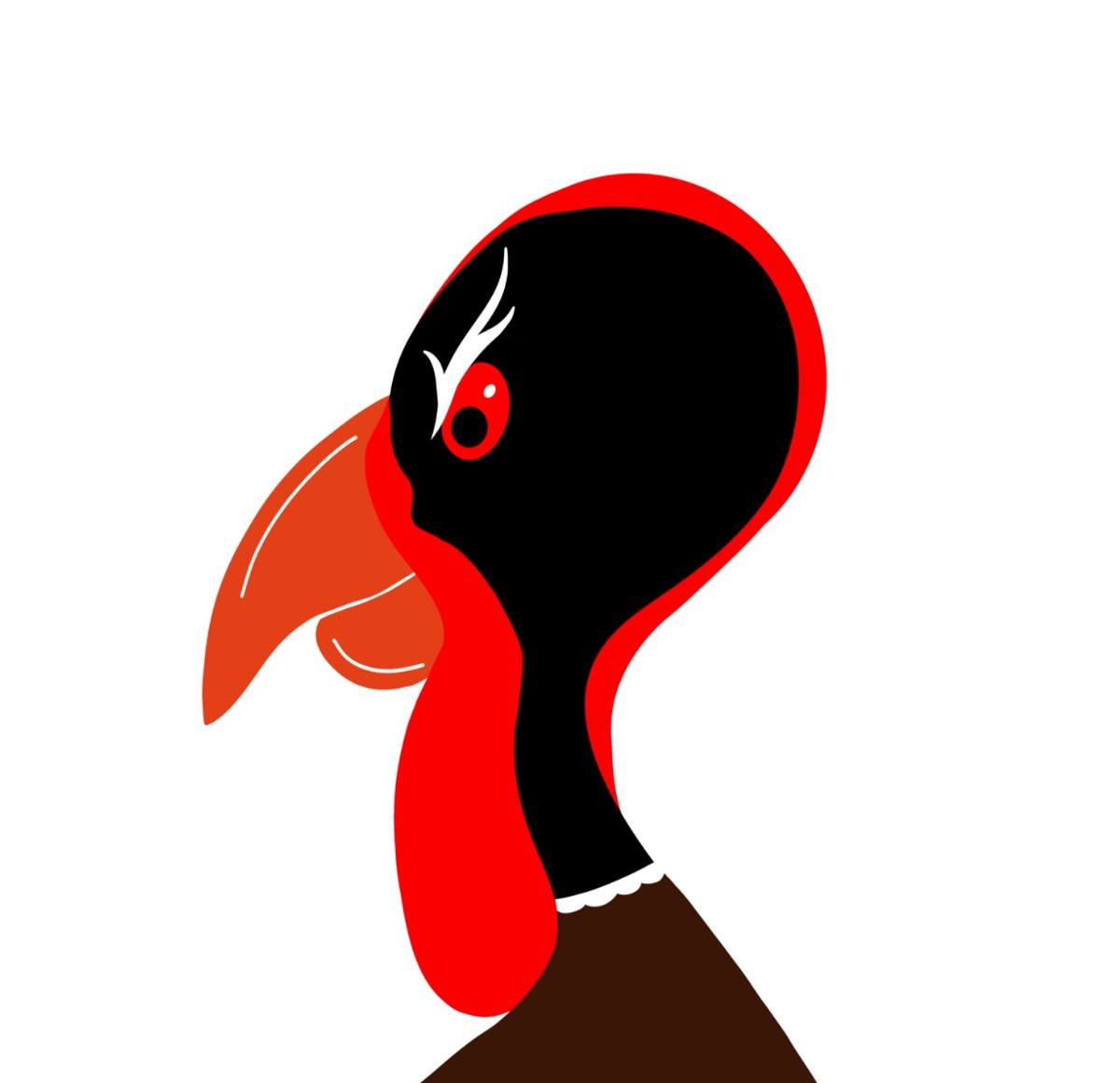 Turkey Burner