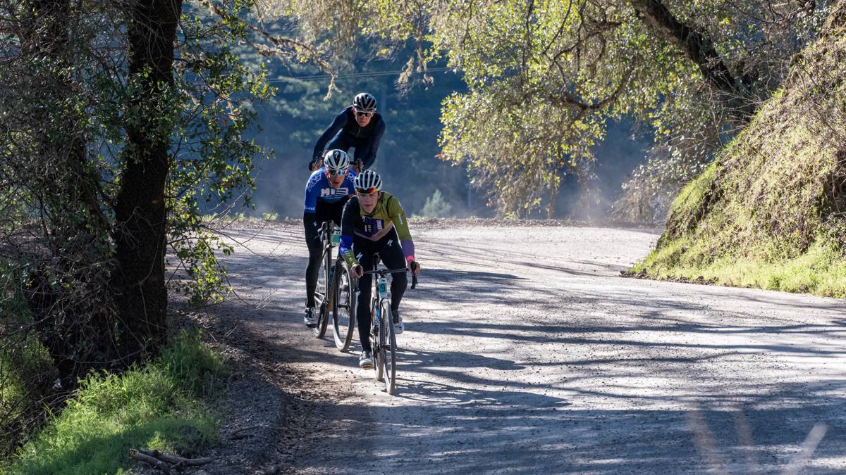 LOW GAP: Grasshopper Adventure Series