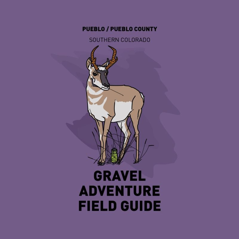 Pueblo field guide cover